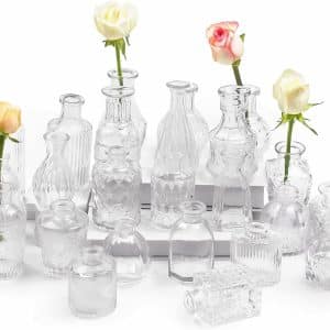 Location Vases en Verre - Lot de 24 - N1 Événement