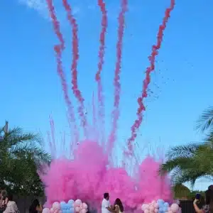 Location Feux d’Artifice Jour - N1 Événement